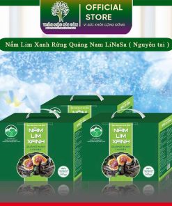 (500g) Nấm Lim Xanh Rừng Quảng Nam ( Nguyên Tai )