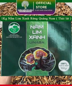 (1kg) Nấm Lim Xanh Rừng Quảng Nam ( Thái Lát )